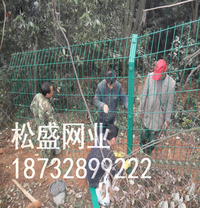 成都护栏网厂家 重庆公路护栏网，河北安平松盛护栏厂